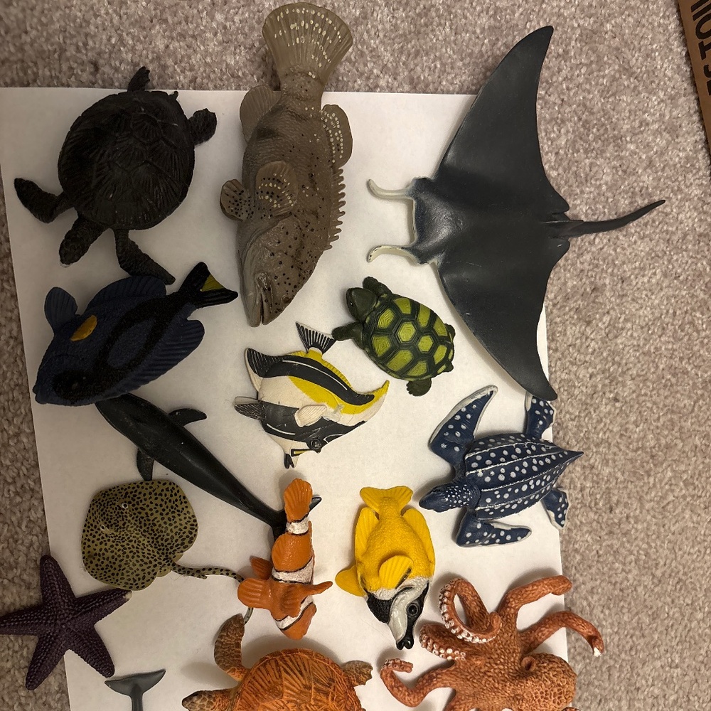 Sea creature bundle
